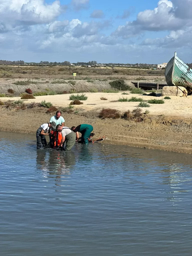 Despesque Salina Santa Teresa con pescadores